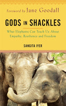 Gods in Shackles : What Elephants Can Teach Us About Empathy, Resilience and Freedom-9781788178181