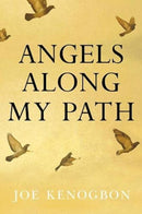 Angels Along My Path-9781788309752
