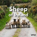Sheep of Ireland-9781788494182