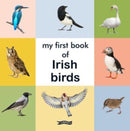 My First Book of Irish Birds-9781788494816