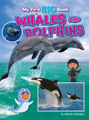 My First BIG Book of WHALES and DOLPHINS-9781788566421