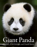 Giant Panda
