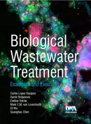 Biological Wastewater Treatment