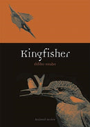 Kingfisher-9781789141399
