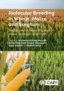Molecular Breeding in Wheat, Maize and Sorghum : Strategies for Improving Abiotic Stress Tolerance and Yield-9781789245431