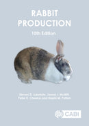 Rabbit Production-9781789249798