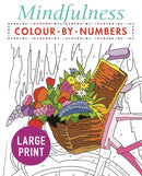 Mindfulness Colour-by-Numbers Large Print-9781789500486