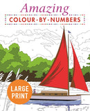 Amazing Colour-by-Numbers Large Print-9781789500509