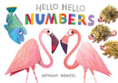 Hello Hello Numbers-9781797219974