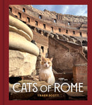 Cats of Rome-9781797231273