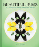 Beautiful Bugs : A Curious Collection of Exquisite Insects-9781797243047