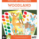 Paint by Numbers: Woodland-9781797244105