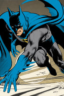 Batman by Neal Adams: Absolute Edition 1967-1970