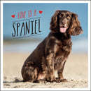 Love is a Spaniel : A Dog-Tastic Celebration of the World's Most Lovable Breed-9781800071902
