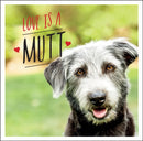 Love is a Mutt : A Dog-Tastic Celebration of the World's Cutest Mixed and Cross Breeds-9781800071919