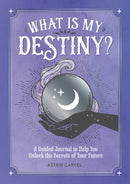 What is My Destiny? : A Guided Journal to Help You Unlock the Secrets of Your Future-9781800074200