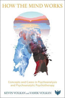 How the Mind Works : Concepts and Cases in Psychoanalysis and Psychotherapy-9781800131996