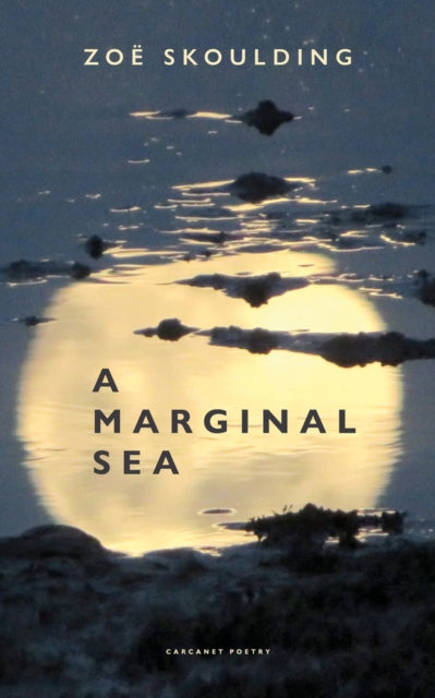 A Marginal Sea-9781800172517