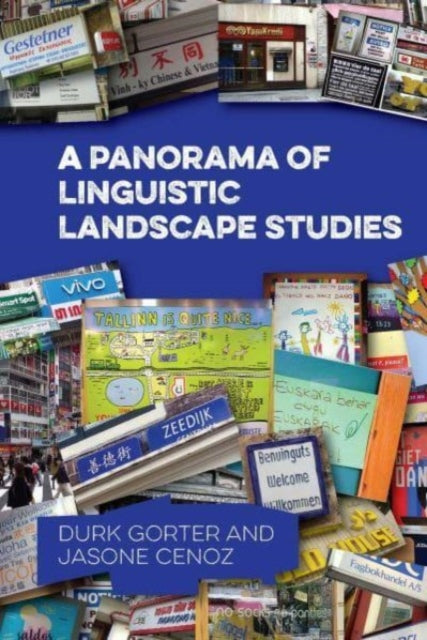 A Panorama of Linguistic Landscape Studies-9781800417137