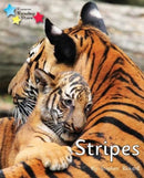 Stripes : Phonics Phase 1/Lilac-9781800471894