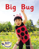 Big Bug : Phase 2-9781800473409