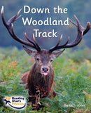 Down the Woodland Track : Phase 4-9781800473966