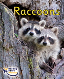 Raccoons : Phase 4-9781800473997