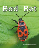 Bad Bet : Phonics Phase 2-9781800478381