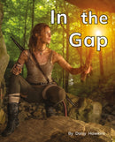 In the Gap : Phonics Phase 2-9781800478411