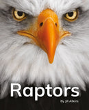Raptors : Phonics Phase 5-9781800478732