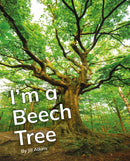 I'm a Beech Tree : Phonics Phase 5-9781800478756
