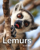 Lemurs : Phonics Phase 5-9781800478954