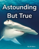 Astounding But True : Phonics Phase 5-9781800478961