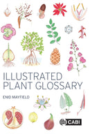Illustrated Plant Glossary-9781800620674