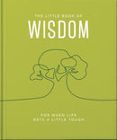 The Little Book of Wisdom : For when life gets a little tough-9781800693586