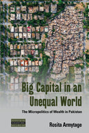 Big Capital in an Unequal World : The Micropolitics of Wealth in Pakistan-9781800736337