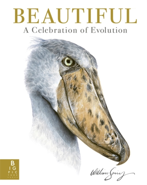 Beautiful : A Celebration of Evolution-9781800786165