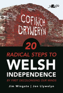 20 Radical Steps to Welsh Independence : ...by first decolonising our minds-9781800991866