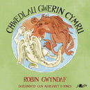 Chwedlau Gwerin Cymru-9781800992139
