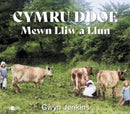 Cymru Ddoe Mewn Lliw a Llun-9781800992993
