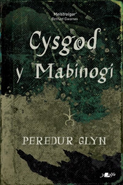 Cysgod y Mabinogi-9781800995499