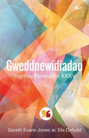 Gweddnewidiadau Ysgrifau Beirniadol XXXV-9781800996281