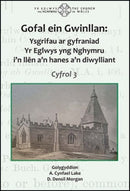 Gofal ein Gwinllan 3 - Ysgrifau ar gyfraniad Yr Eglwys yng Nghymru i''n llên a''n hanes a''n diwylliant