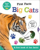 First Facts Big Cats-9781801052474
