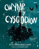 Darllen yn Well: Cwymp y Cysgodion-9781801063449