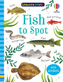 Fish to Spot-9781801317993