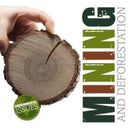 Mining and Deforestation-9781801555630