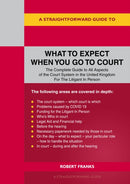 A Straightforward Guide To What To Expect When You Go To Court-9781802360523