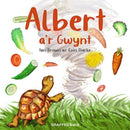 Albert a'r Gwynt-9781802580112