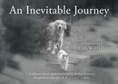 An Inevitable Journey-9781803135816